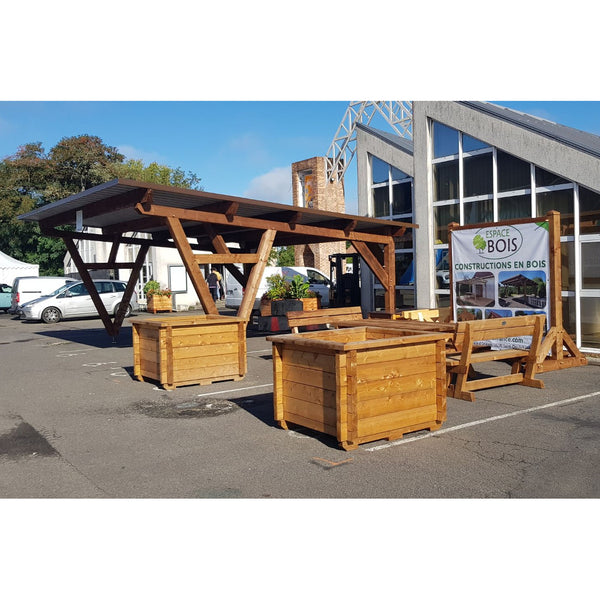 ABILENE / CARPORT2 POTEAUX DROITS 2 voitures, lxL 3.82x6.12m