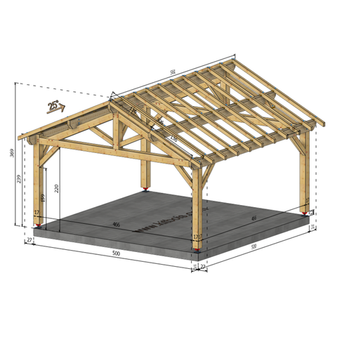 NICE Auvent 2 pans, lxL 5x5m SAPIN
