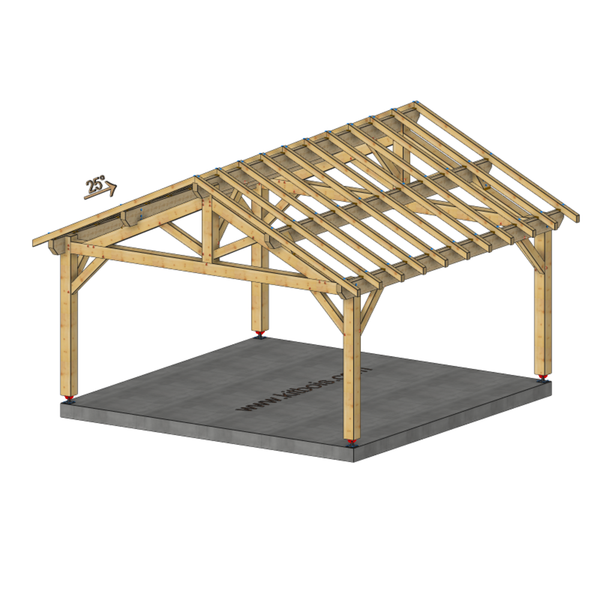NICE Auvent 2 pans, lxL 5x5m SAPIN