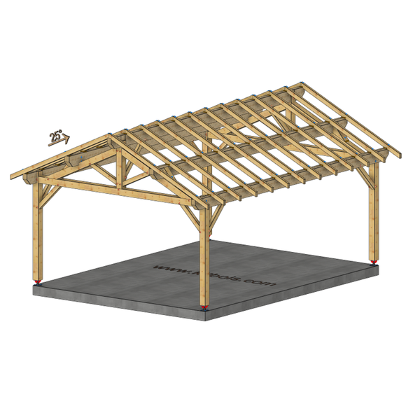NOGENT Auvent 2 pans, lxL 4.5x6m SAPIN