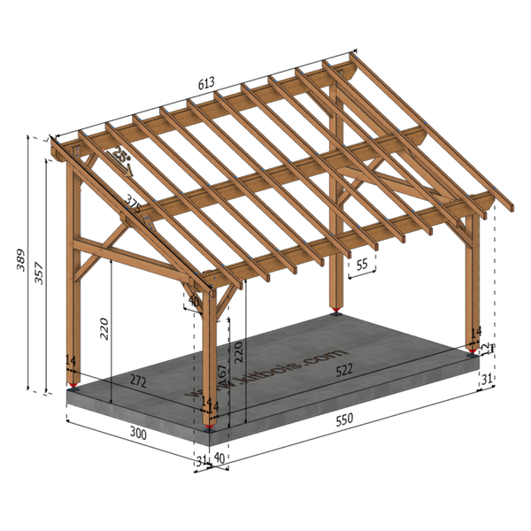PARME Auvent monopente, lxL 3x5.5m SAPIN