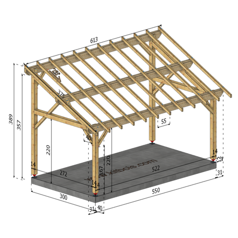 PARME Auvent monopente, lxL 3x5.5m SAPIN