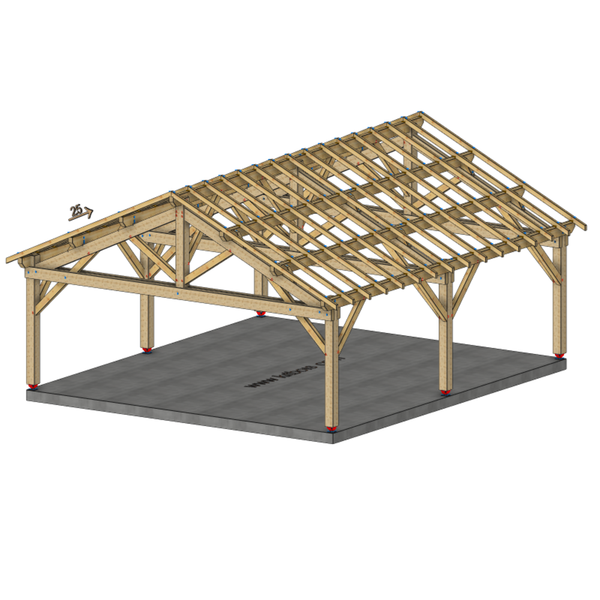 TOURY Auvent 2 pans, lxL 7x8m SAPIN