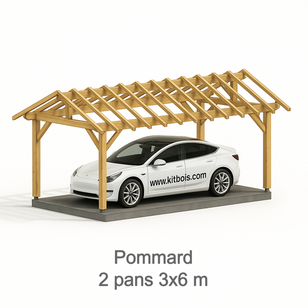 POMMARD Auvent 2 pans, lxL 3x6m SAPIN