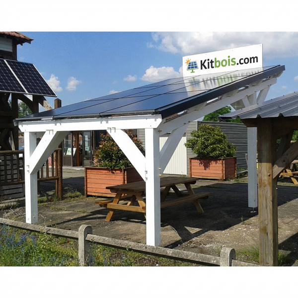 SOLAR1 SAPIN Auvent solaire 1 voiture, lxL 3.82x3.23m / Livraison OFFERTE